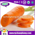 Nueva cosecha china de alta calidad 80-150g zanahoria fresca